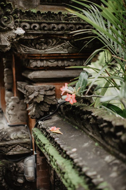 Stone carvings and jungle canopy at the Sacred Monkey Forest Sanctuary, another frame from the trip