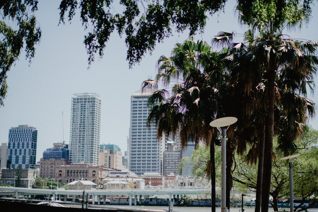 Photo of bicycles parked along a tree-lined Brisbane street in Brisbane, Queensland, Australia