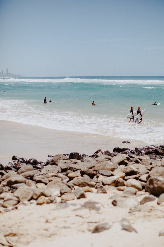 Photo of wildlife spotted along the coastal drive along the Gold Coast between Brisbane and Byron Bay, Australia