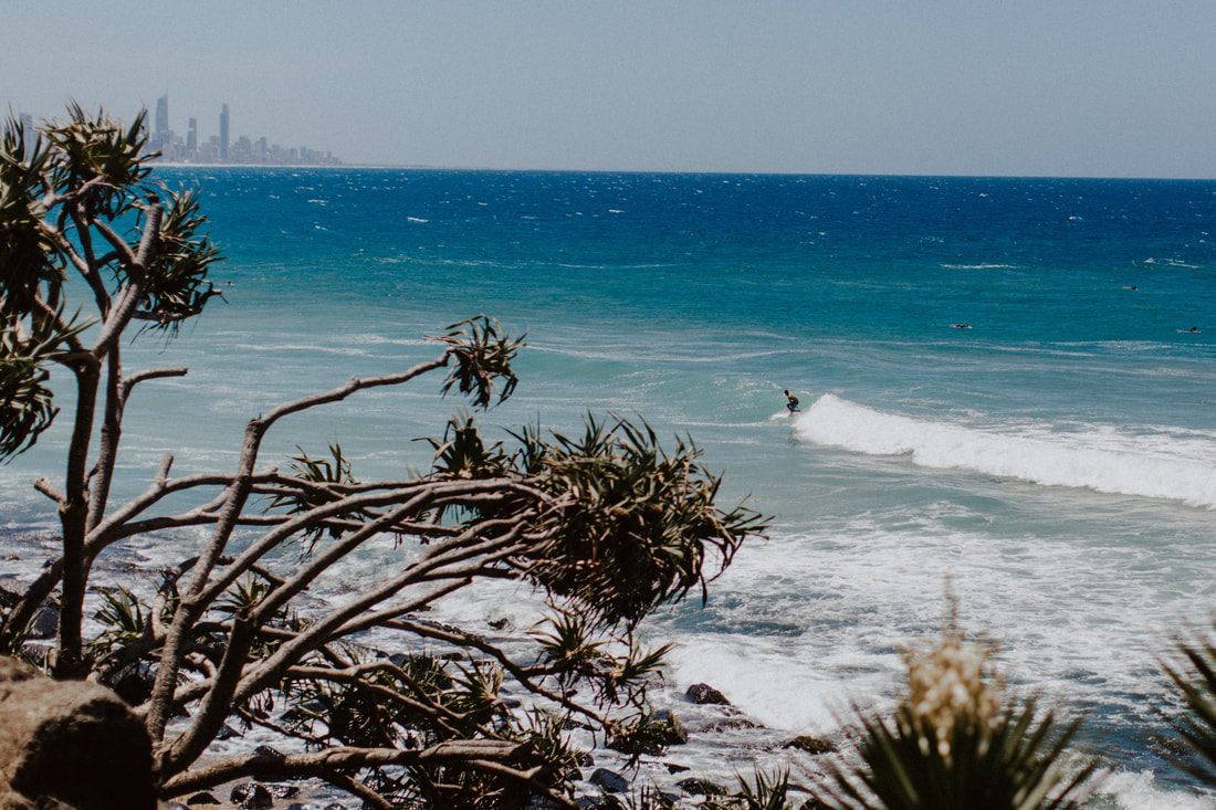 Photo of a coastal rainforest trail near the Gold Coast between Brisbane and Byron Bay, Australia
