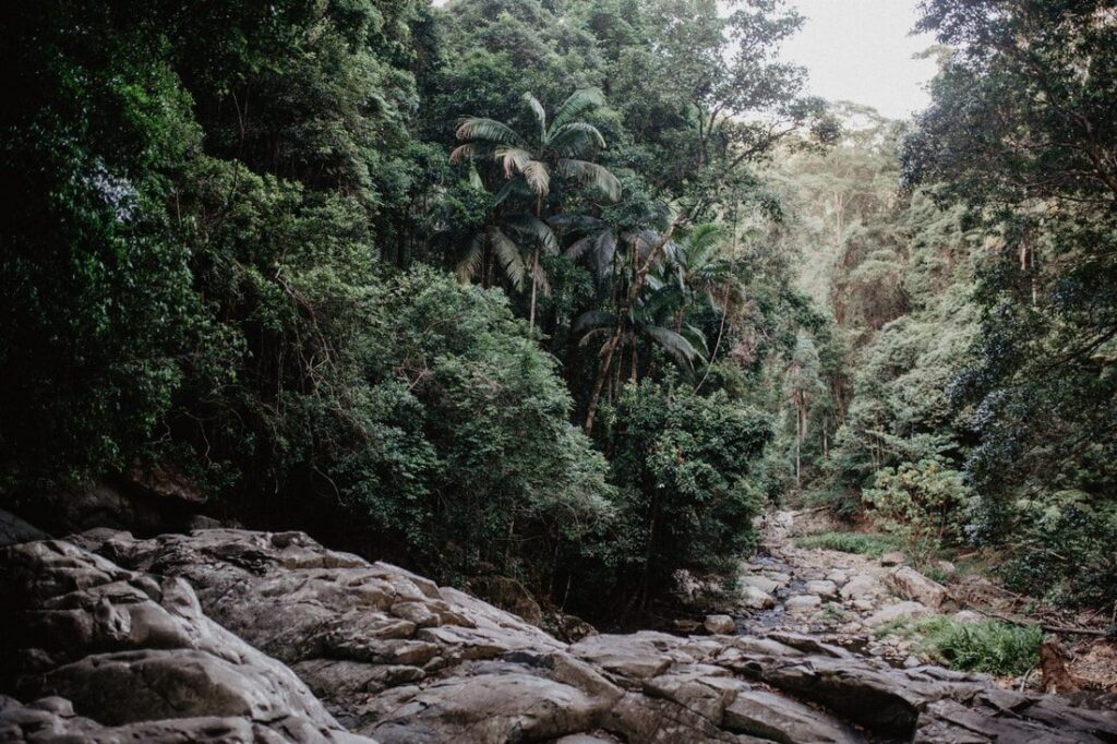 Photo of a scenic lookout over the coastline from a cliffside pull-off along the Gold Coast between Brisbane and Byron Bay, Australia