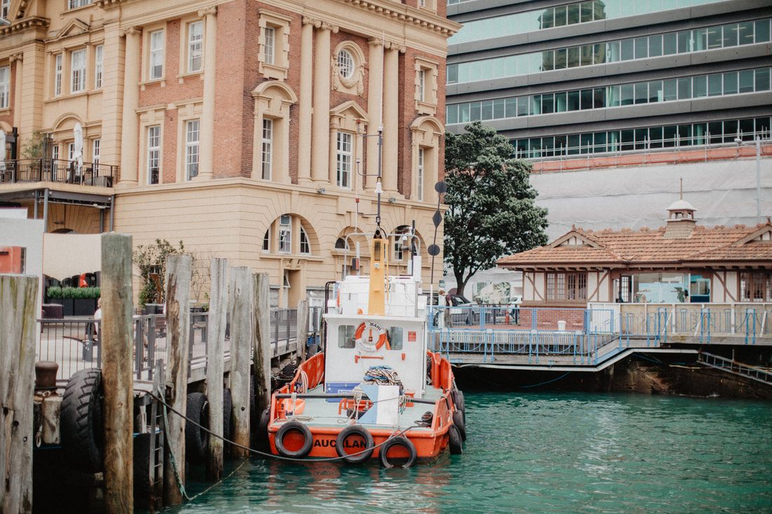 Auckland skyline and harbor view in New Zealand