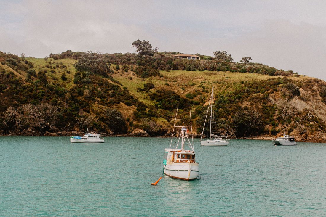 Waiheke Island coastline and beach, New Zealand