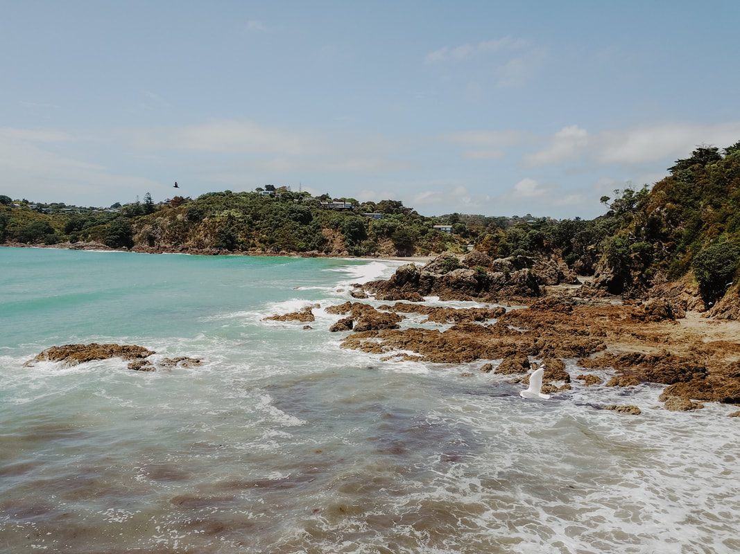 Coastal cliffs on Waiheke Island, New Zealand