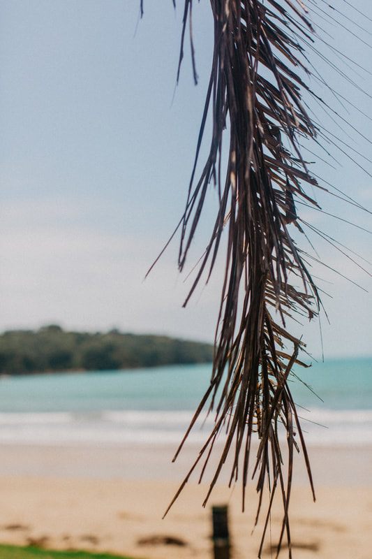Waiheke Island beach scene during a day trip from Auckland