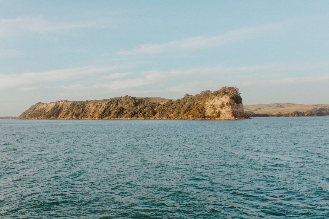 Waiheke Island shoreline at low tide