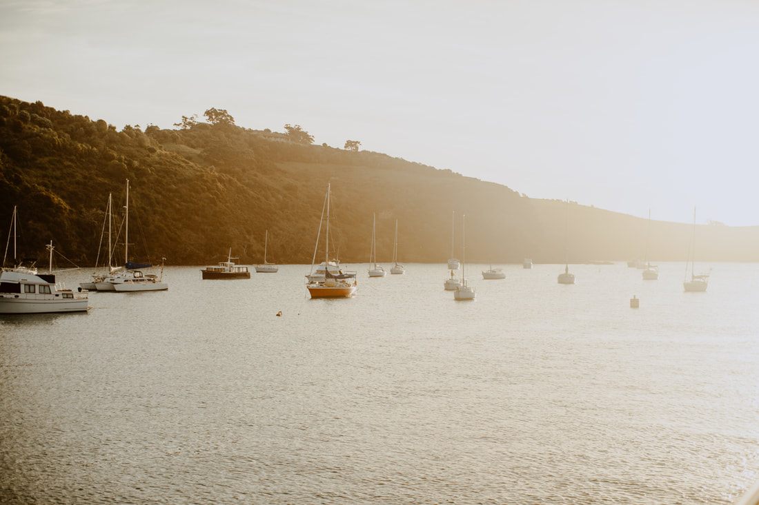 Waiheke Island beach scene, New Zealand