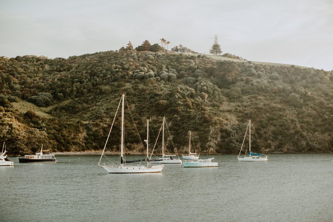 Rolling vineyard hills on Waiheke Island at sunset