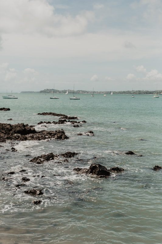 Waiheke Island beach scene during a New Zealand day trip