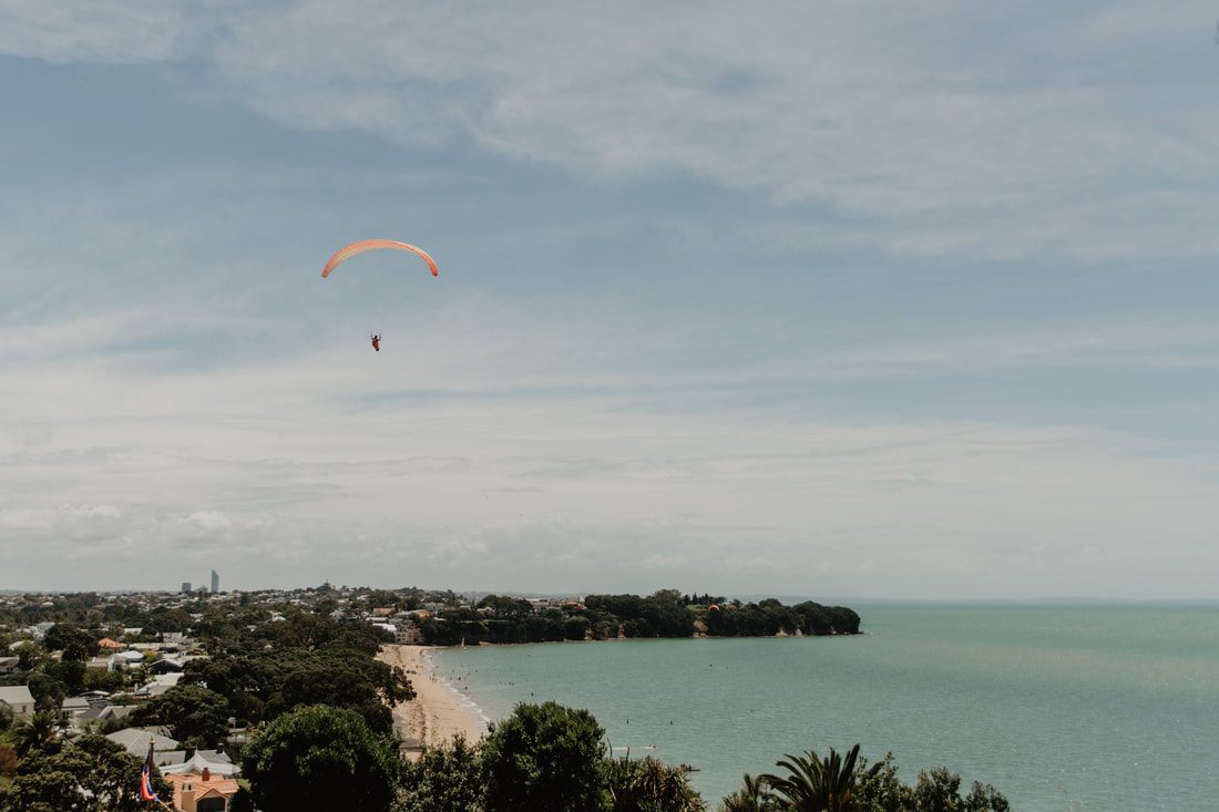 Vineyard views on Waiheke Island, New Zealand