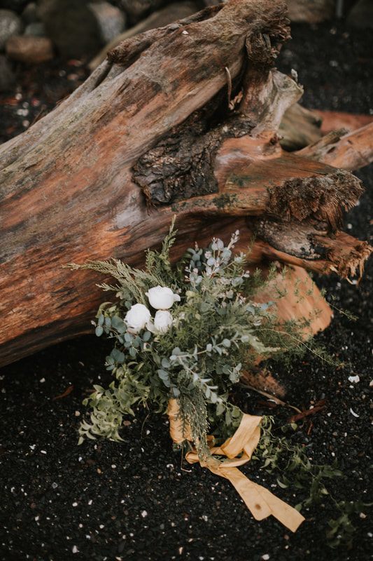 Extended family gathered for portraits after the Orcas Island ceremony
