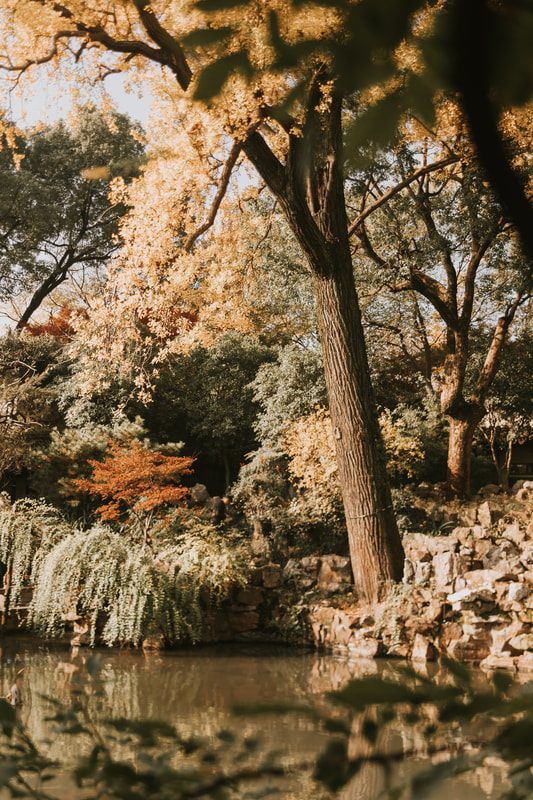 The Lingering Garden in Suzhou, a private Chinese garden with 500 years of history