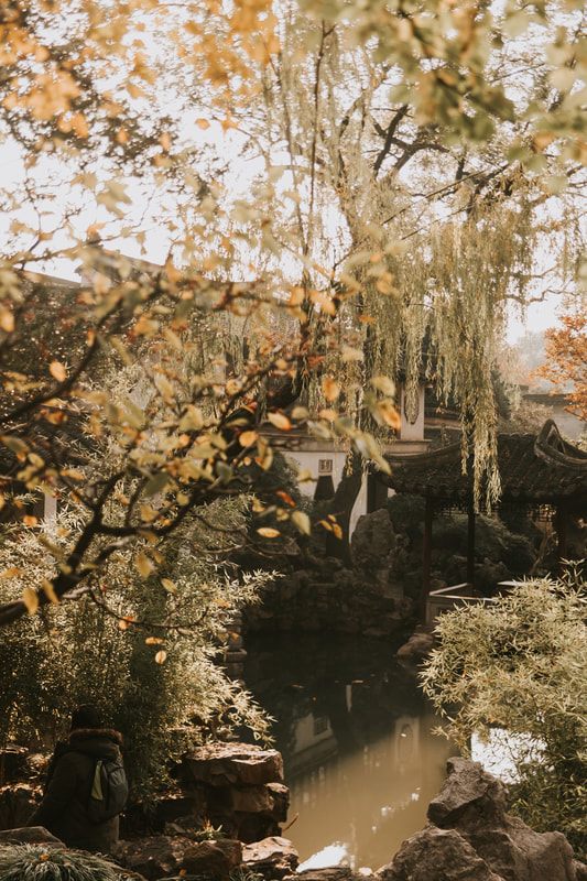 Canal-side street scene in Suzhou, known as the Oriental Venice of China