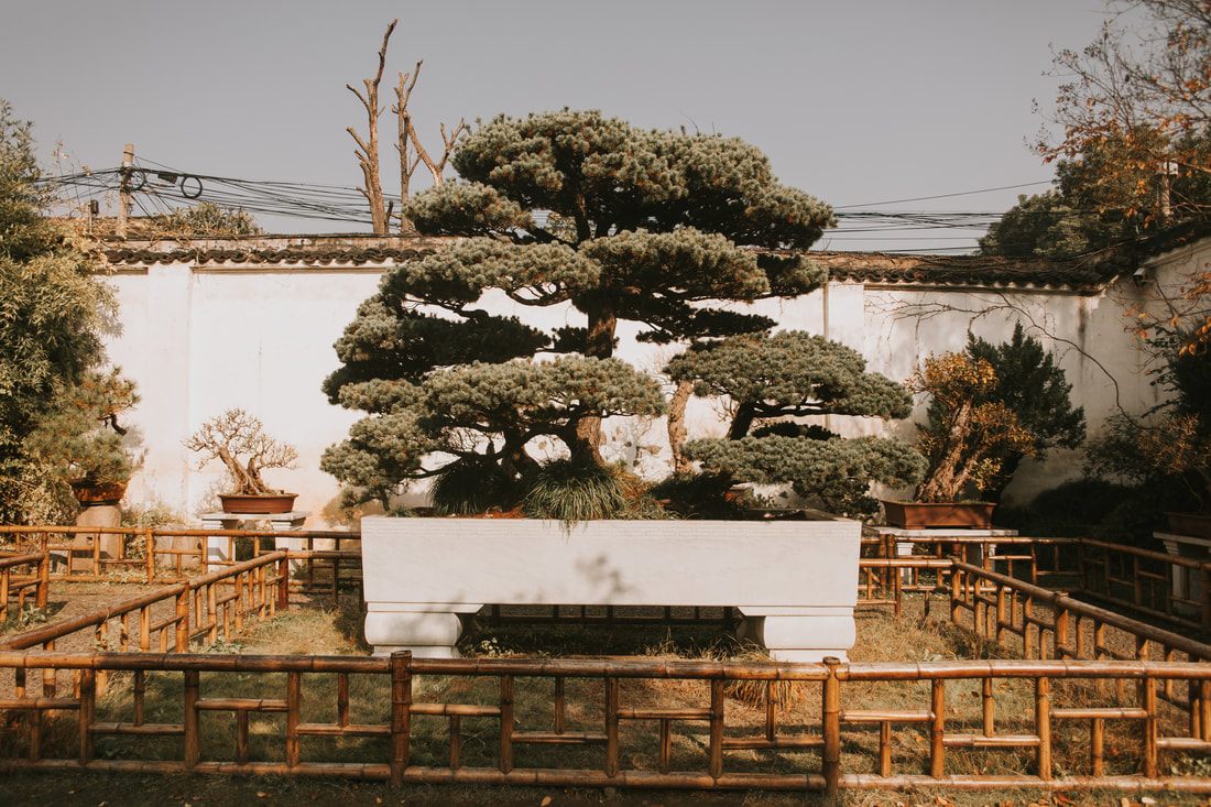 Traditional Chinese garden landscaping inside Suzhou's Lingering Garden