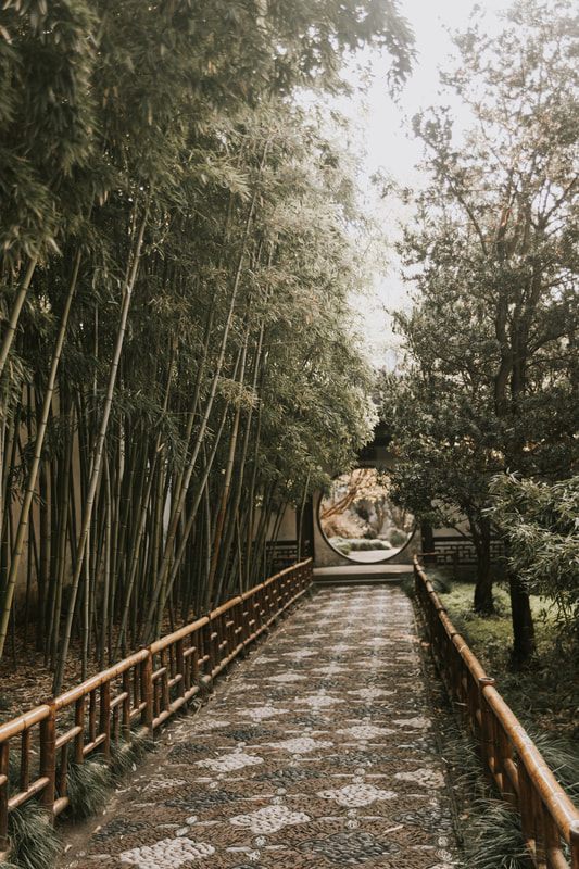 A quiet canal view in Suzhou, China during a boat tour of the city