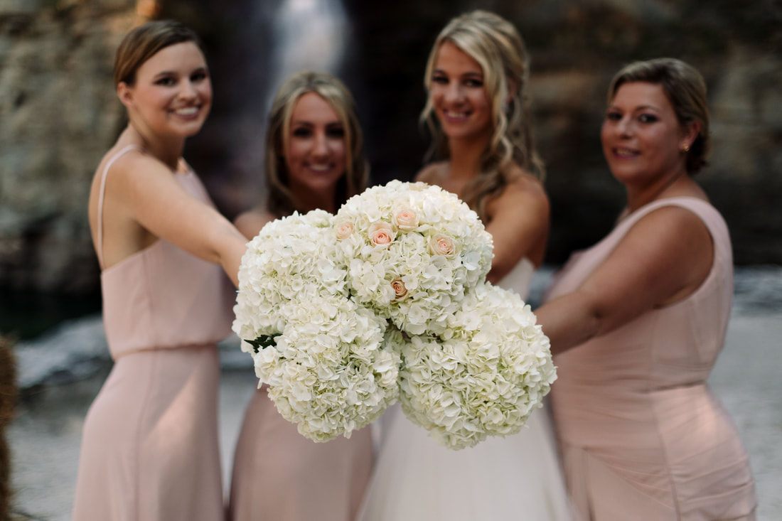 Bridal party portrait at the Charlotte, NC waterfall wedding
