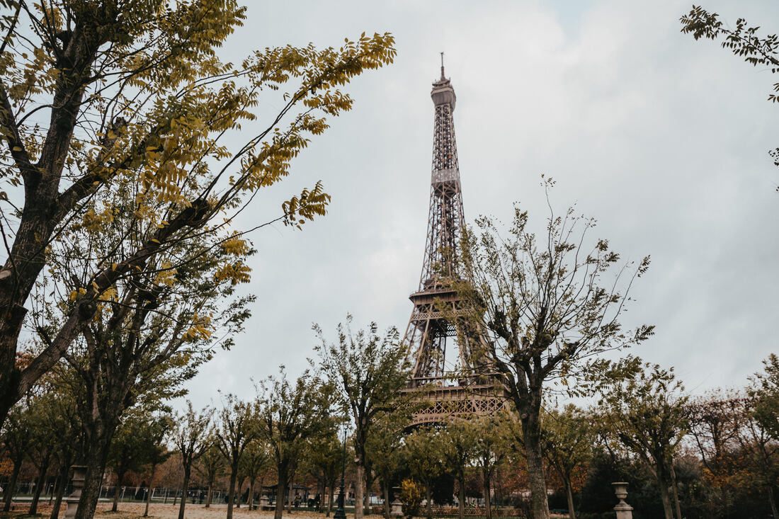 The Eiffel Tower rising above the Paris skyline at Christmastime