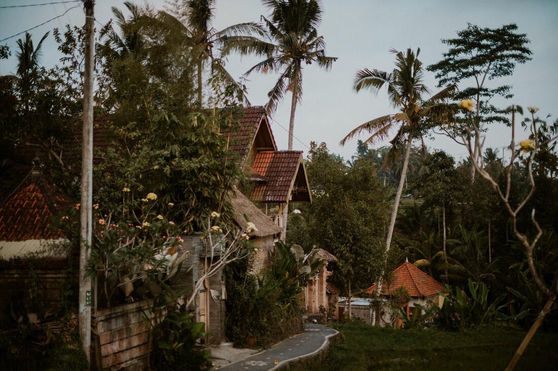 Tropical pool day during an 11-day Bali trip (another moment from the trip)