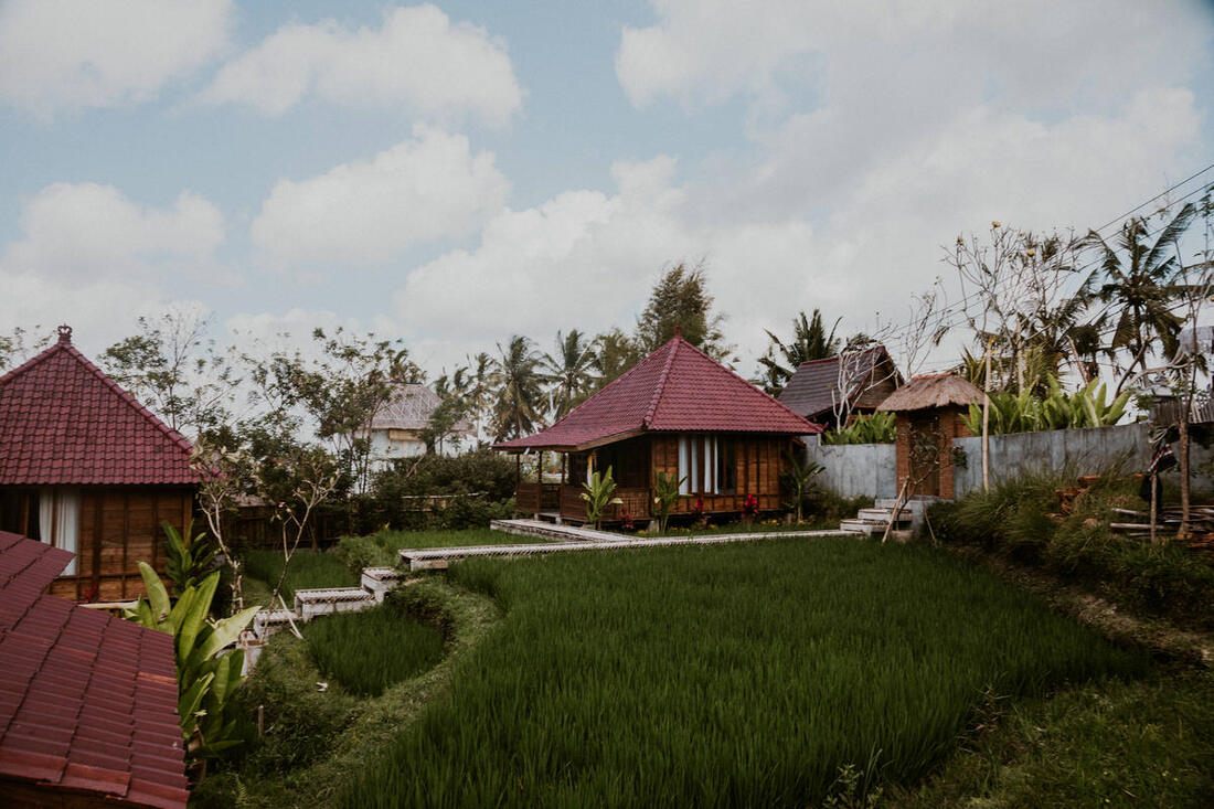 Bali countryside landscape with volcano in the distance (another moment from the trip)