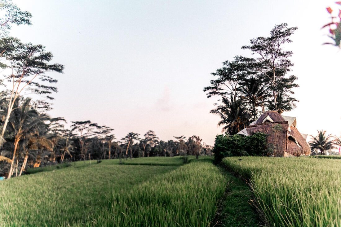 Winding country road through rural Bali (another moment from the trip)