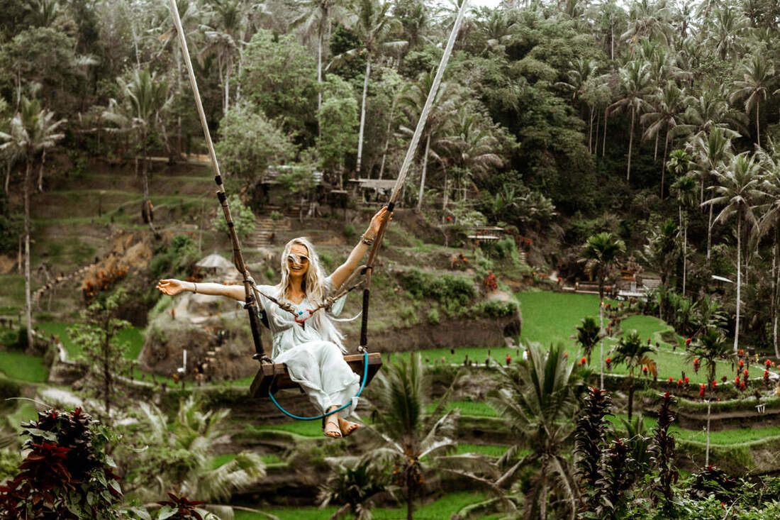 Lush tropical greenery along a Bali jungle path (another moment from the trip)