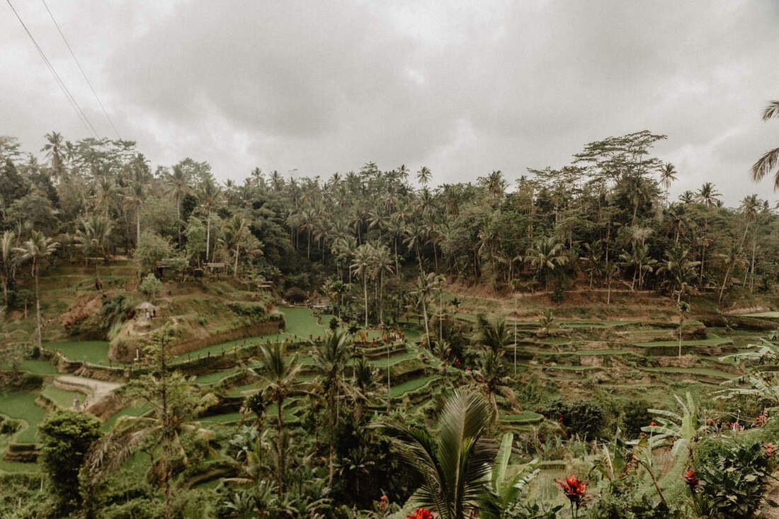 Cliffside view of the Bali coastline (another moment from the trip)