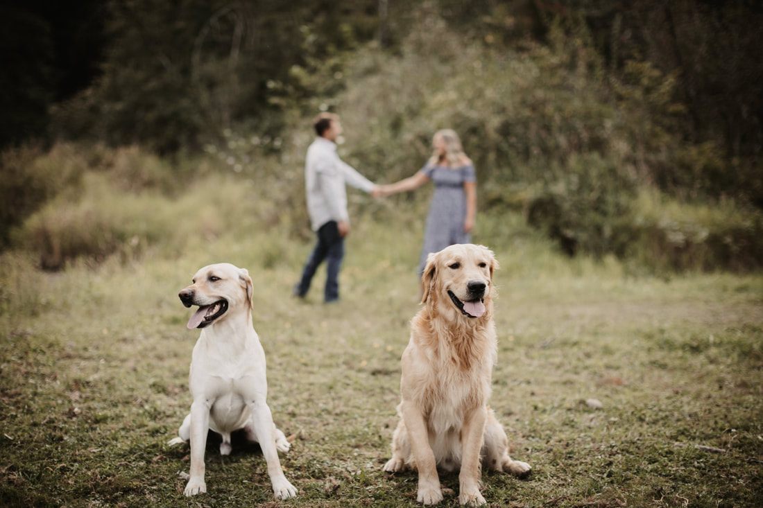 Couple standing with their horse near the barn