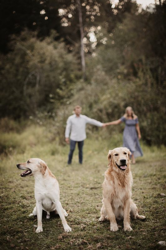 Engaged couple walking their horse along a farm path