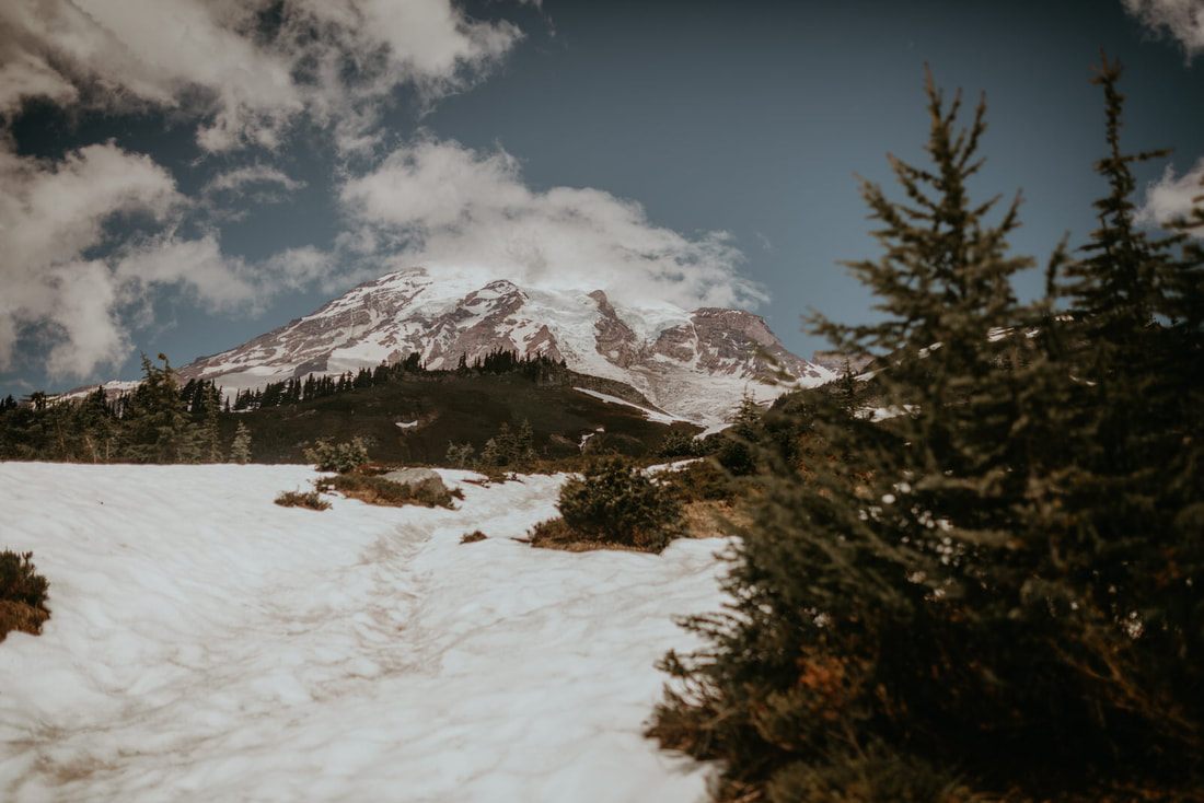 Wildflower meadow with Mount Rainier towering in the background in summer
