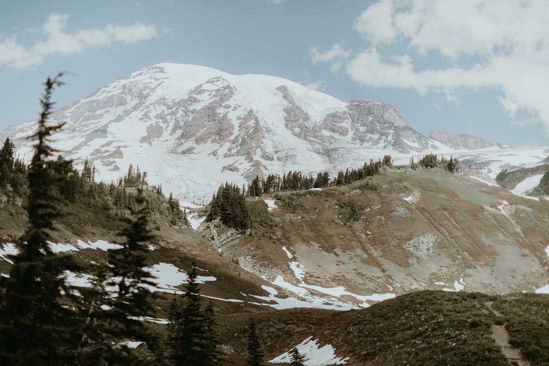 Snow-capped peak of Mount Rainier rising above evergreen forest