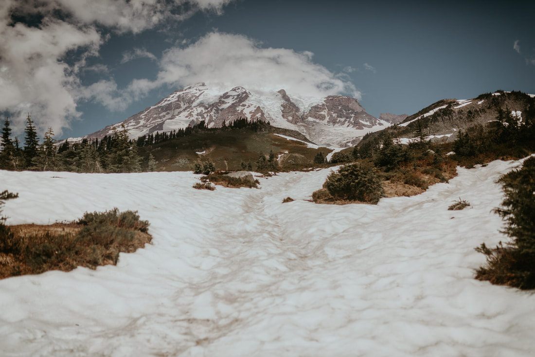 Alpine trail winding toward Mount Rainier on a clear summer day