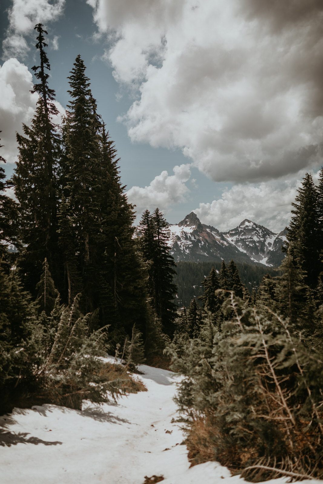 Golden light over the ridgelines of Mount Rainier National Park