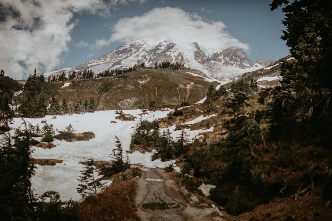 Wildflowers in bloom with Mount Rainier visible in the distance
