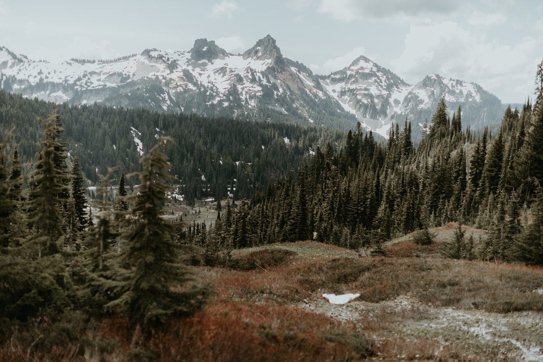 Closing landscape shot of Mount Rainier from a summer scouting trip