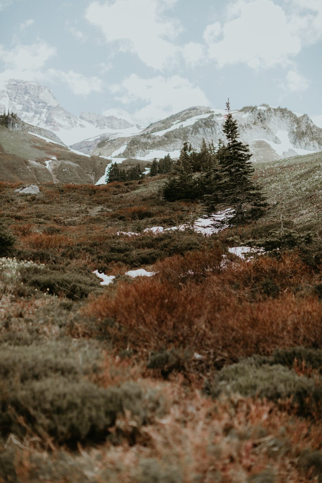 Panoramic view of Mount Rainier scouted for an upcoming wedding session