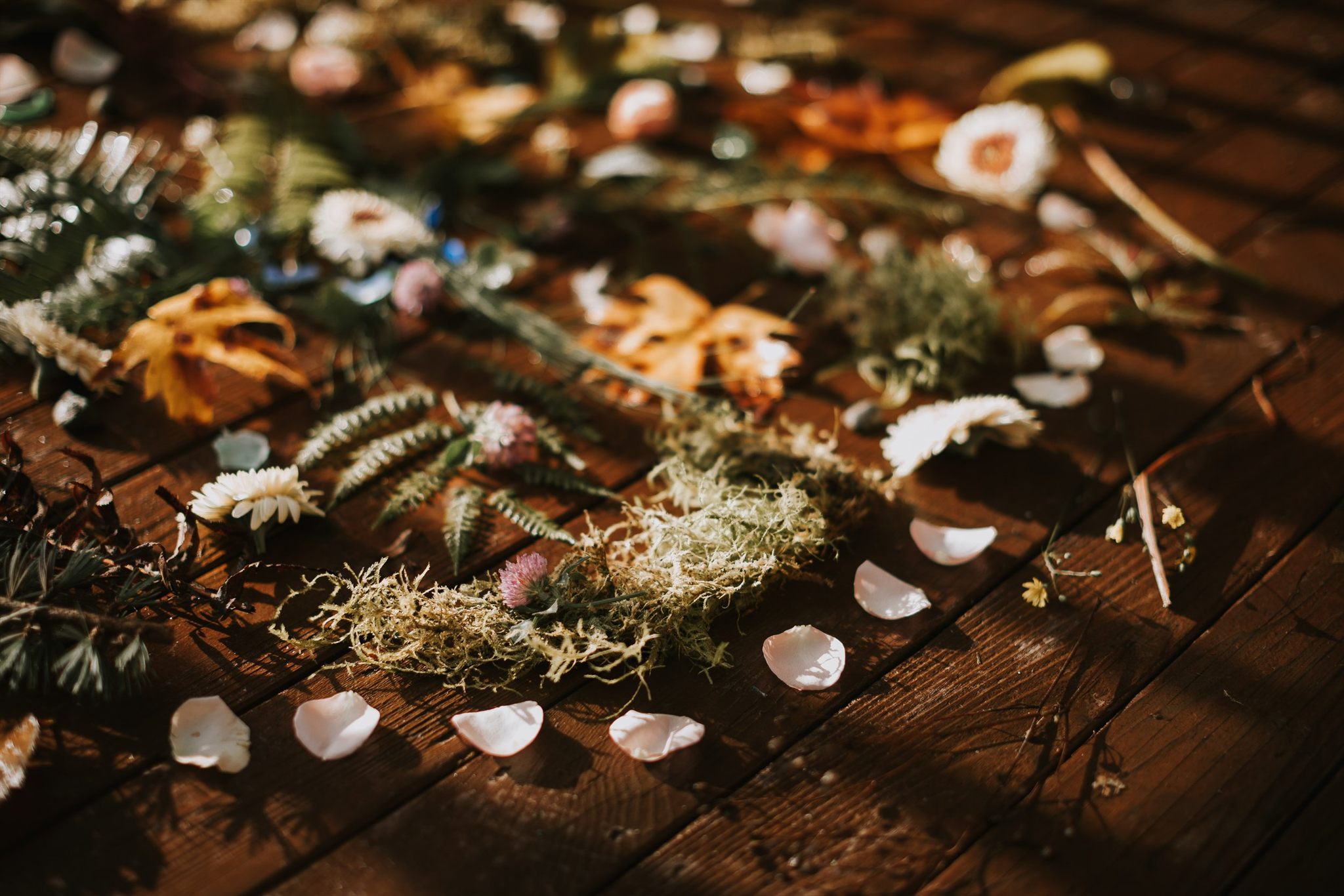 Meditation circle outside at a PNW women's circle retreat