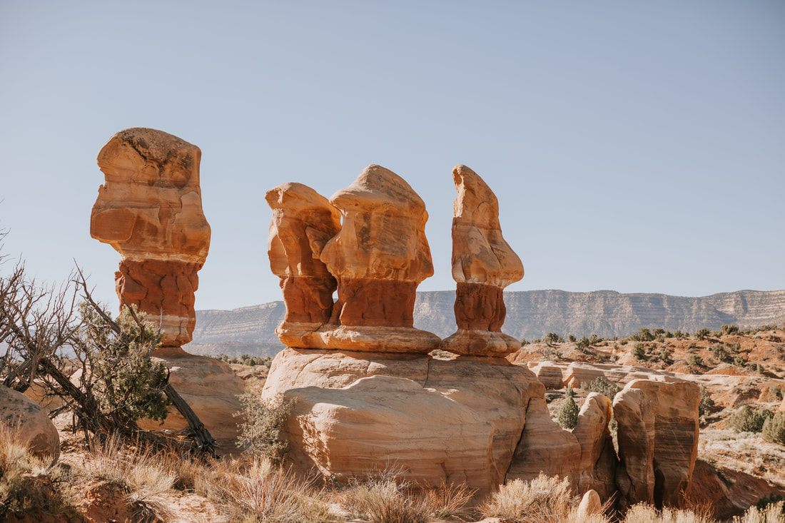 Photo of a close-up detail shot from life on the road in Colorado & Utah