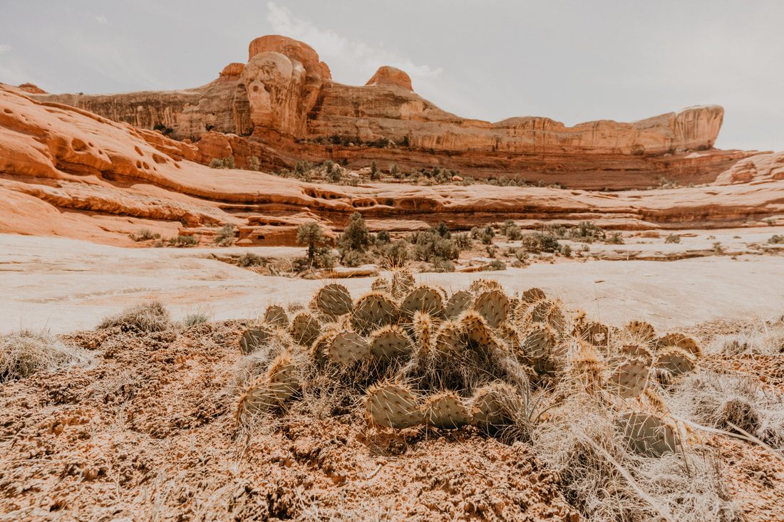 Photo of red rock canyon walls along a desert highway in Colorado & Utah
