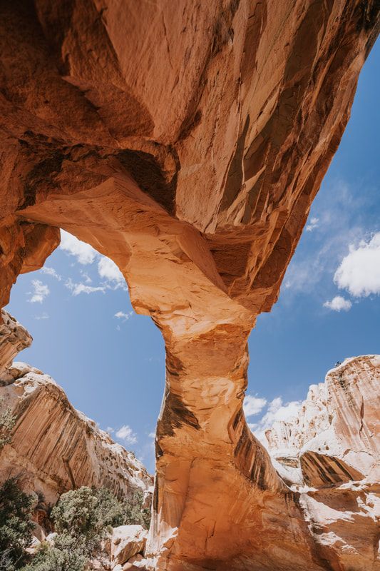 Photo of a dusty hiking trail through the backcountry in Colorado & Utah