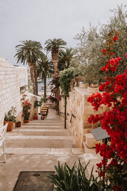 Photo of historic stone architecture in a coastal old town in Croatia
