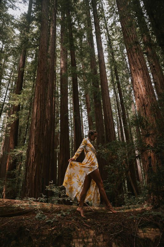 Woman in a flowing dress standing among towering redwood trees for a Folklore-inspired portrait.