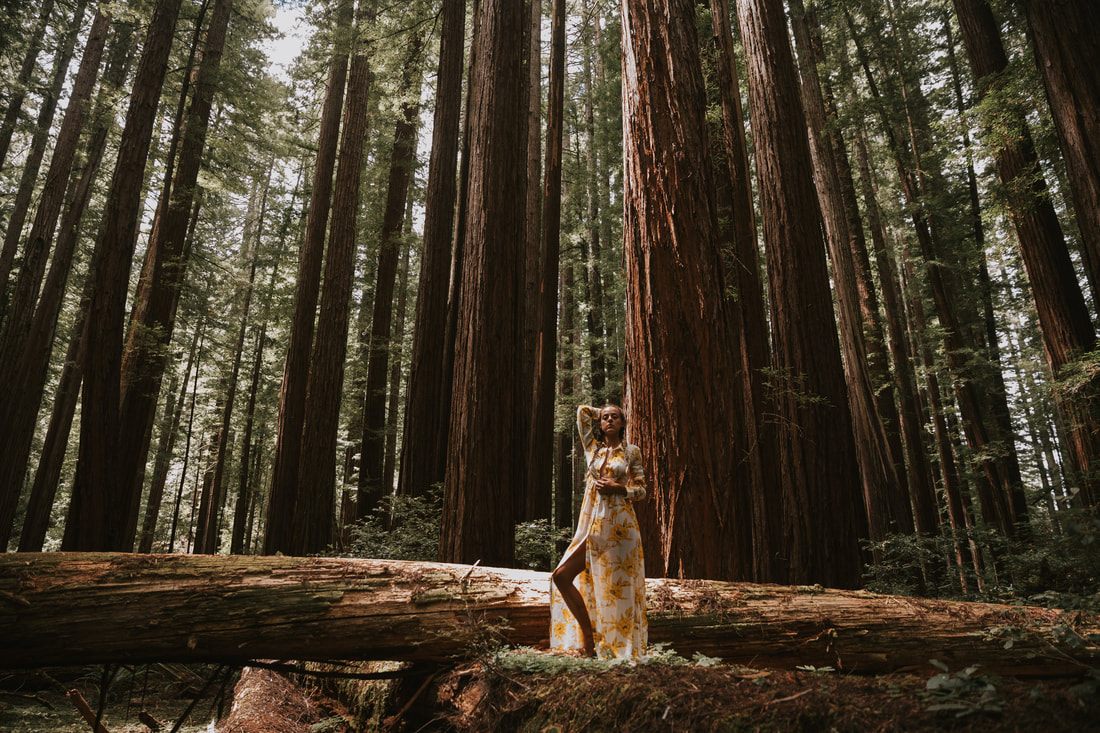 Close-up portrait of Samantha in the redwoods with a moody, woodland atmosphere.