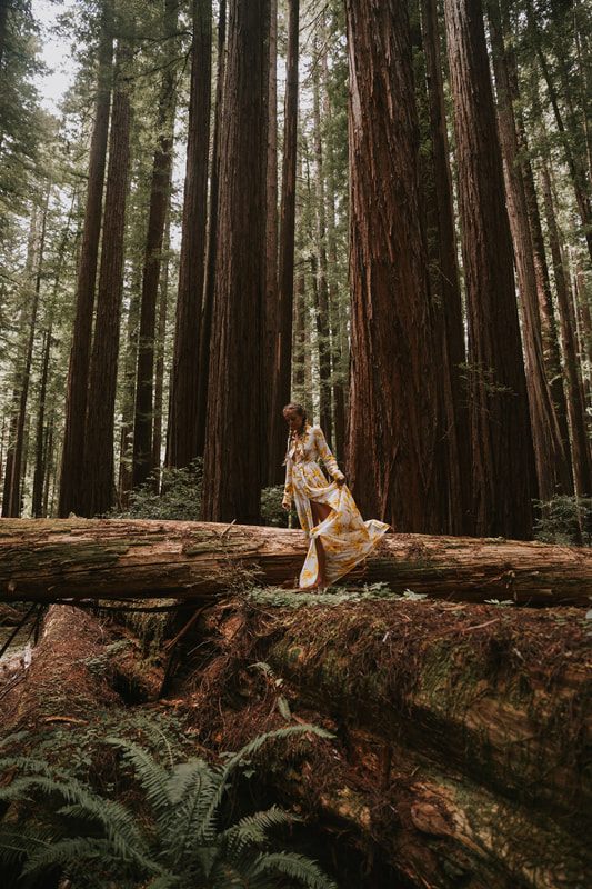 Portrait of a woman surrounded by towering redwoods with dappled forest light.