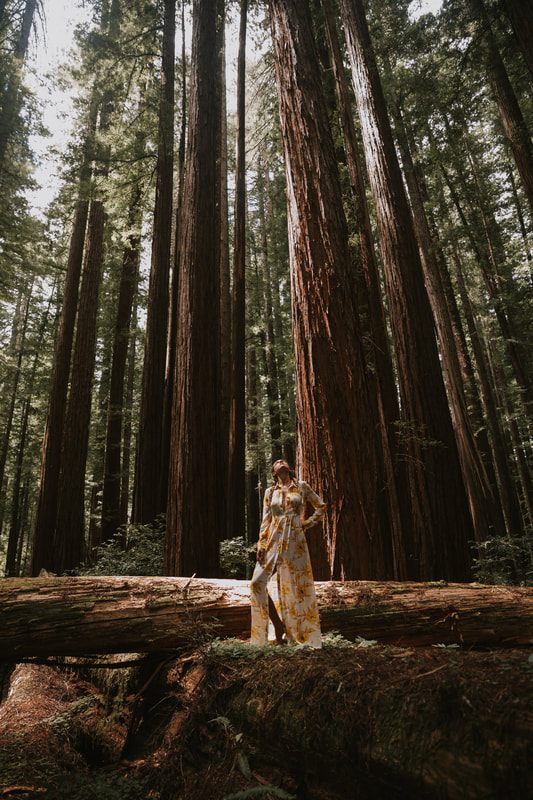 Final portrait from the Folklore-inspired redwood forest photo session in California.