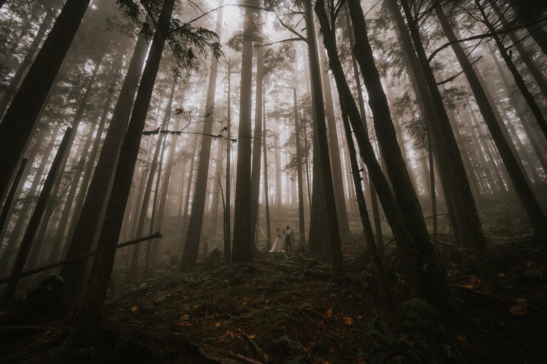 Tiana and Malik sharing a quiet moment in the foggy PNW forest.
