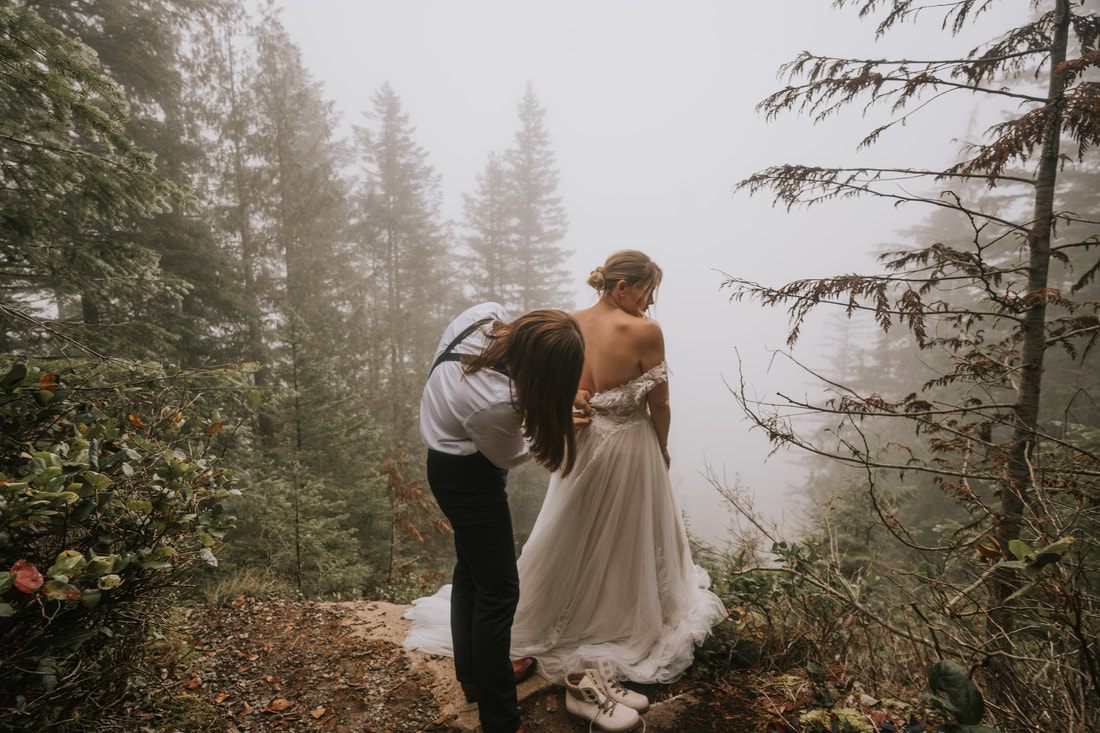 Wide landscape shot of the fog rolling through the old-growth forest.