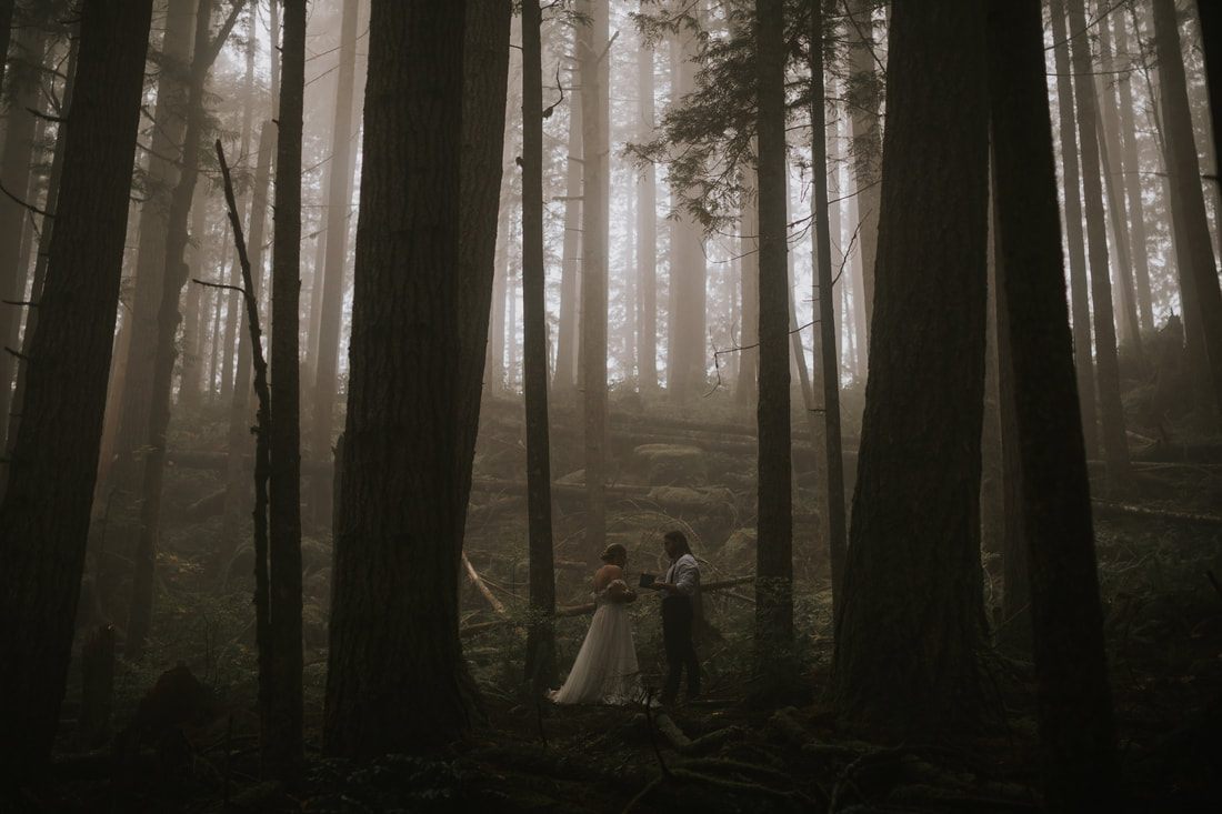 Wide shot of the misty forest surrounding Tiana and Malik's elopement ceremony.