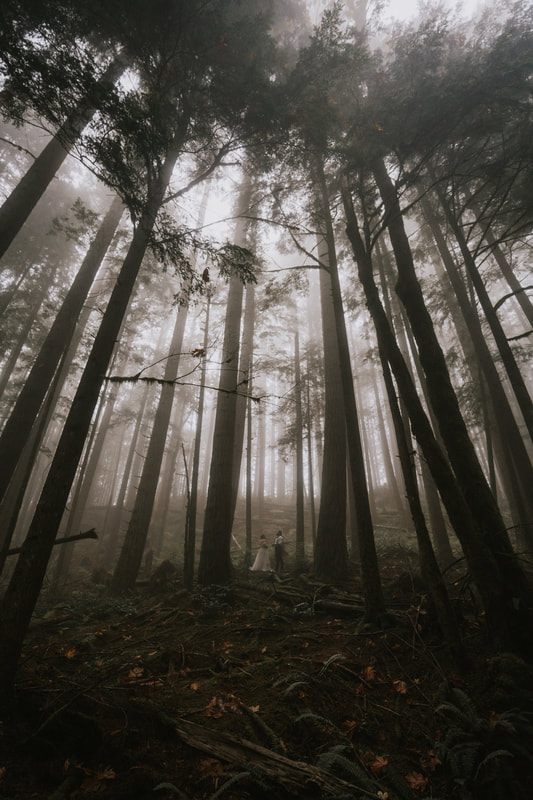 Bride and groom embracing beneath the fog-laced trees during their ceremony.