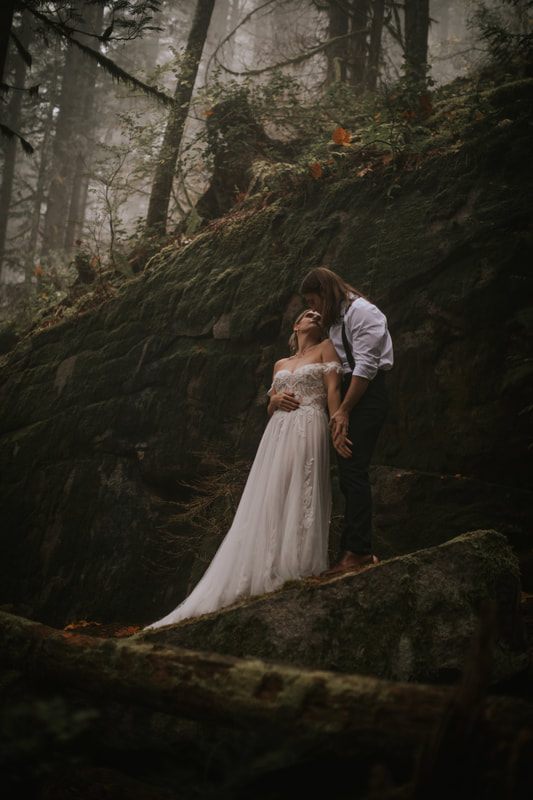 Wide shot of the misty forest surrounding Tiana and Malik's elopement ceremony.
