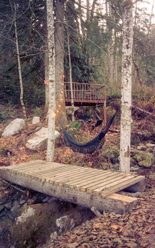 Film photograph of the PNW cabin exterior, shot by Lyndsey Hansen
